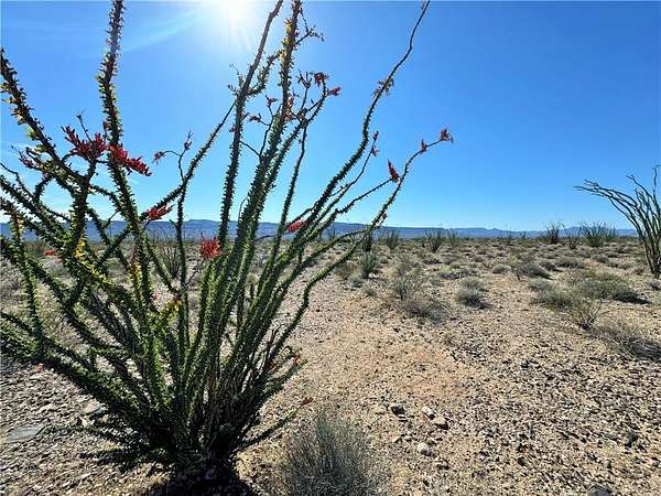 40 Acres of Land for Sale in Yucca, Arizona