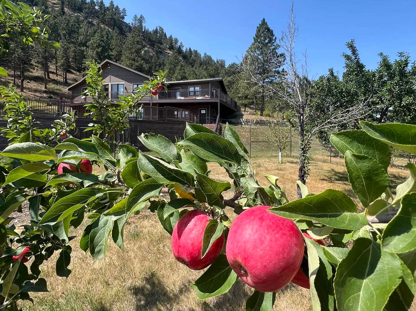 92 Acres of Recreational & Residential Land for Sale in Columbus, Montana