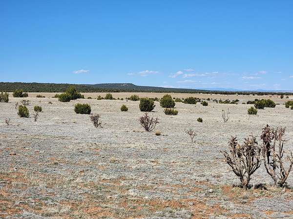 42 Acres of Agricultural Land for Sale in Estancia, New Mexico
