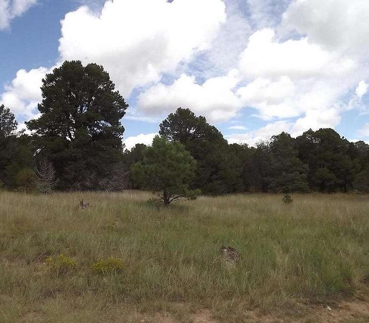 20 Acres of Recreational Land & Farm for Sale in Edgewood, New Mexico