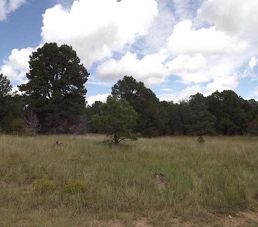 20 Acres of Recreational Land & Farm for Sale in Edgewood, New Mexico