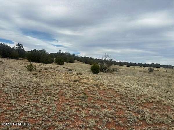 10 Acres of Land for Sale in Seligman, Arizona
