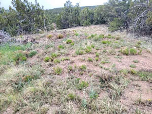 1.5 Acres of Residential Land for Sale in Edgewood, New Mexico