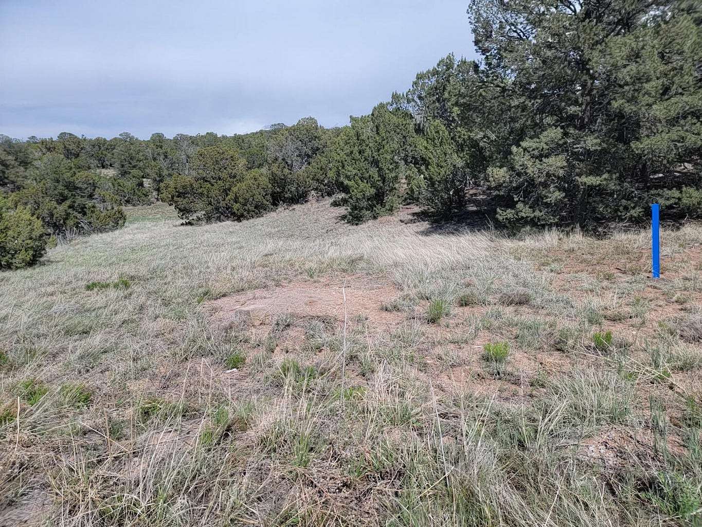 1.8 Acres of Residential Land for Sale in Edgewood, New Mexico