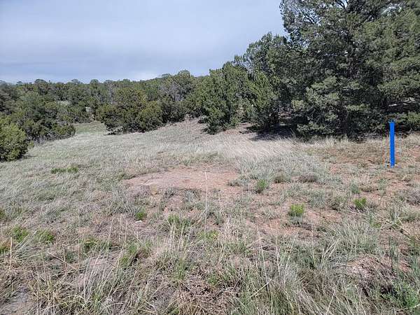 1.8 Acres of Residential Land for Sale in Edgewood, New Mexico