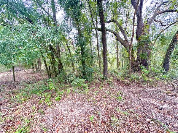 3 Acres of Land for Sale in Mayo, Florida