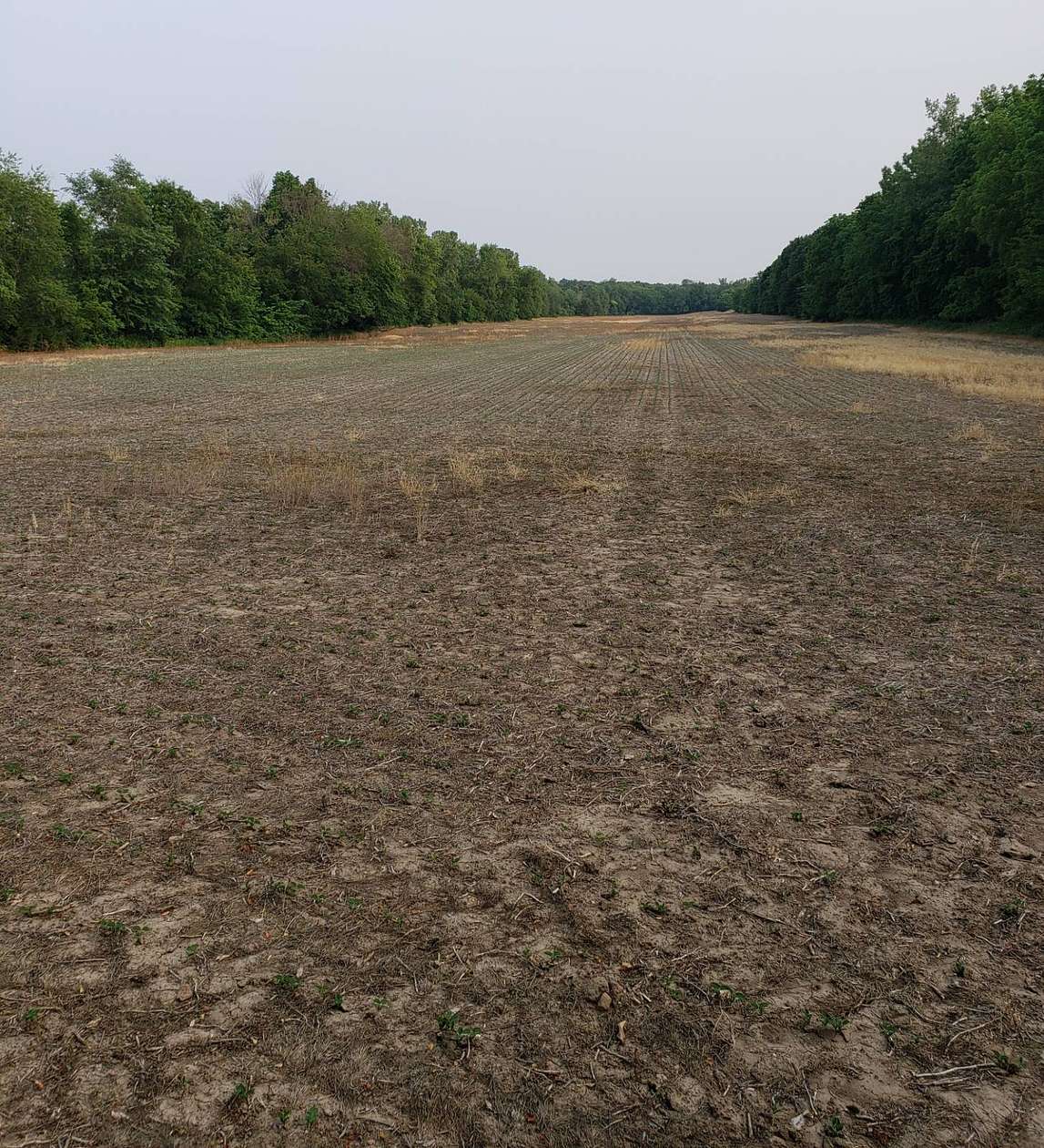 98 Acres of Recreational Land for Sale in McFall, Missouri