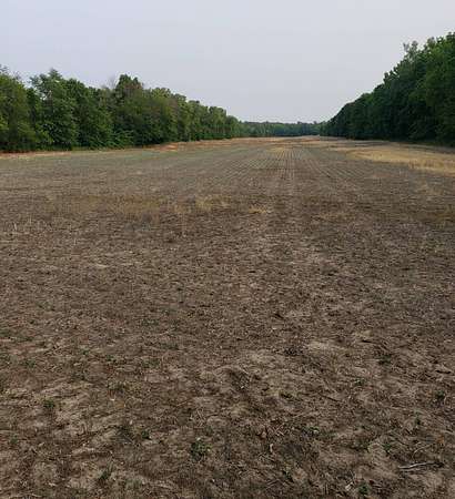 98 Acres of Recreational Land for Sale in McFall, Missouri