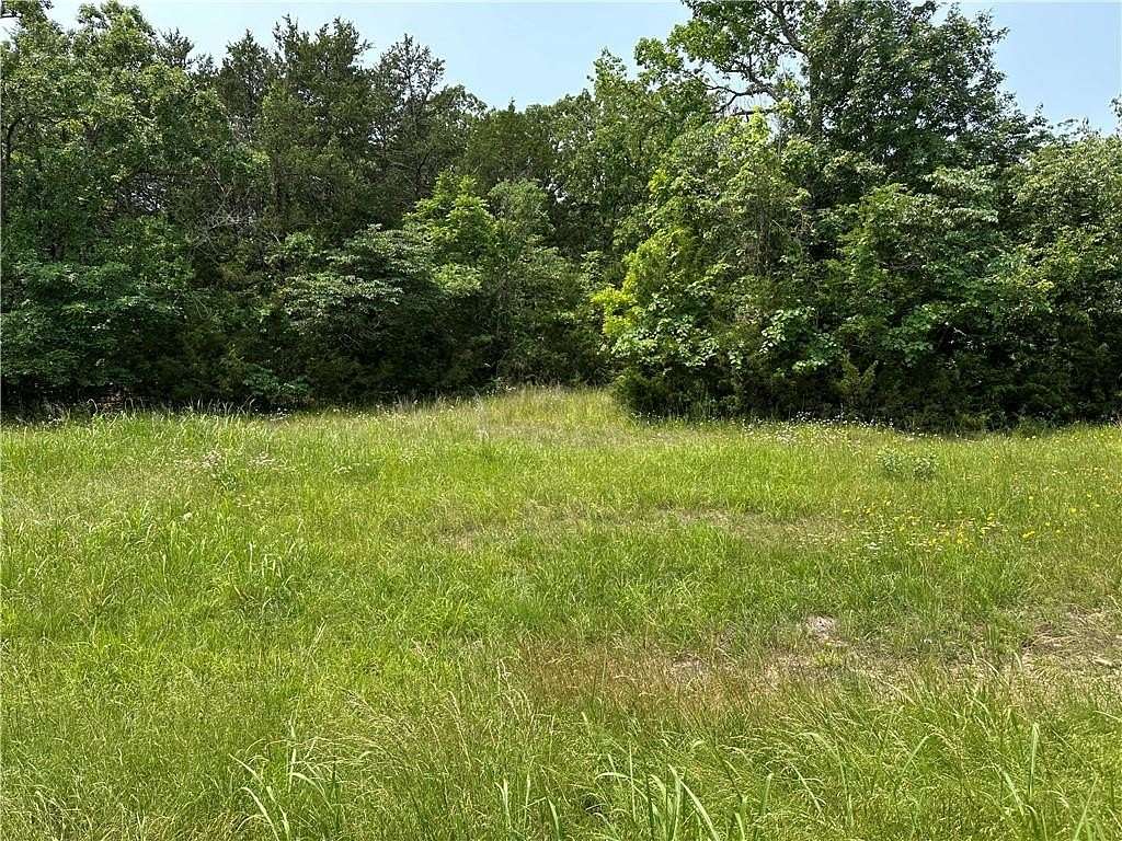 0.41 Acres of Land for Sale in Diamond City, Arkansas