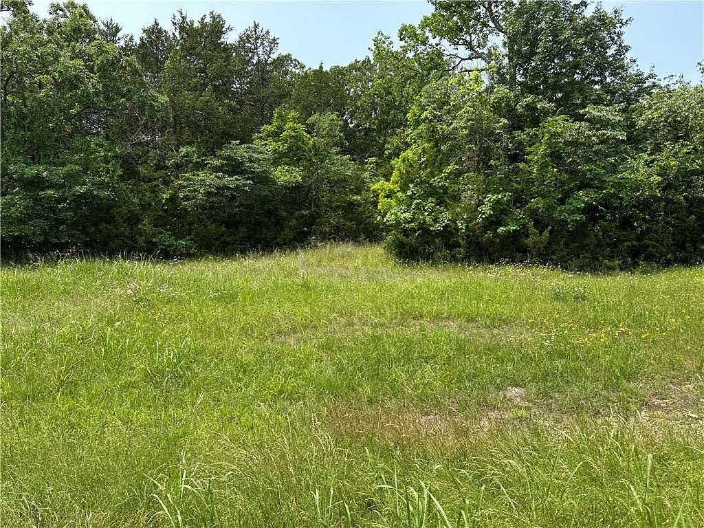 0.41 Acres of Land for Sale in Diamond City, Arkansas