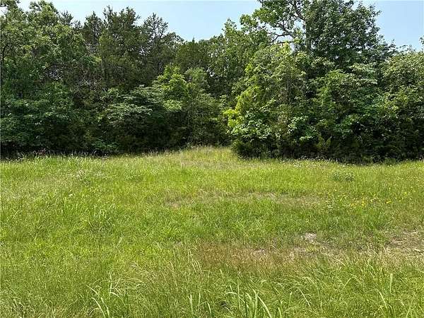 0.41 Acres of Land for Sale in Diamond City, Arkansas