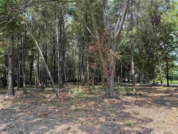 0.31 Acres of Residential Land for Sale in Andrews, South Carolina