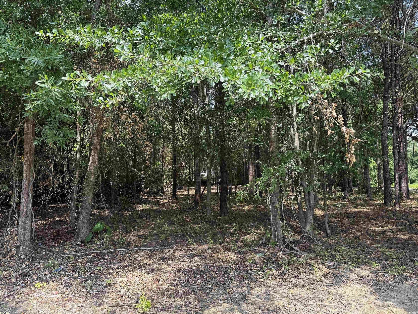 0.31 Acres of Residential Land for Sale in Andrews, South Carolina