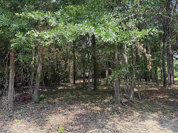 0.31 Acres of Residential Land for Sale in Andrews, South Carolina