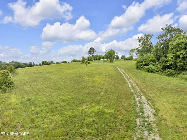 45.1 Acres of Agricultural Land for Sale in Greenback, Tennessee