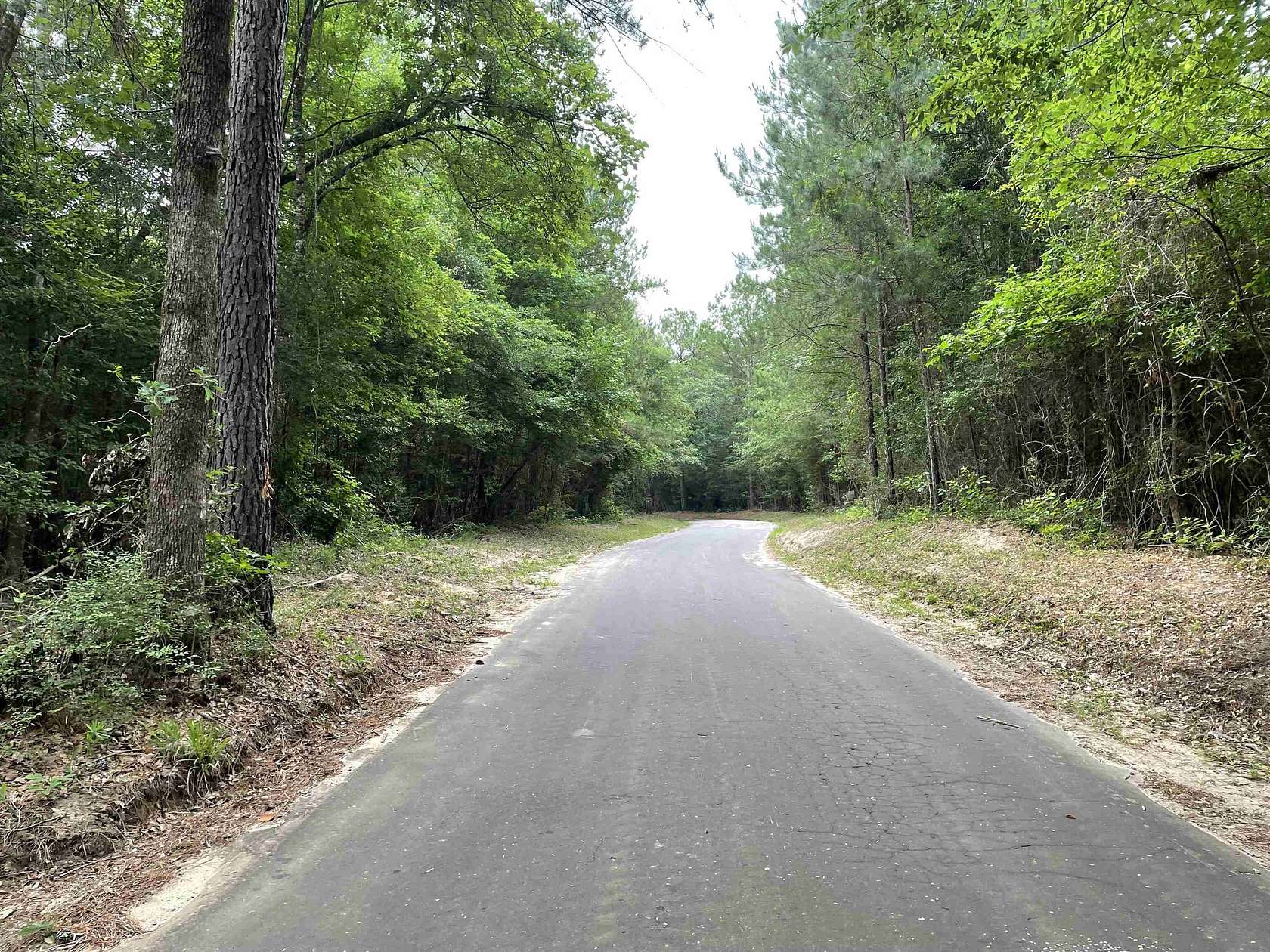 10 Acres of Recreational Land for Sale in Jasper, Texas