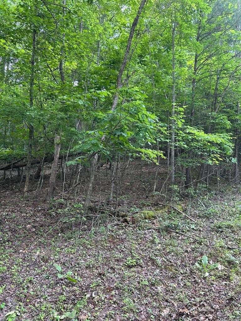 2 Acres of Land for Sale in Hiawassee, Georgia