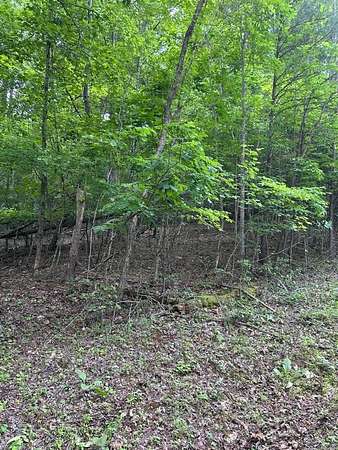 2 Acres of Land for Sale in Hiawassee, Georgia