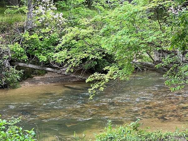 1 Acre of Land for Sale in Blairsville, Georgia