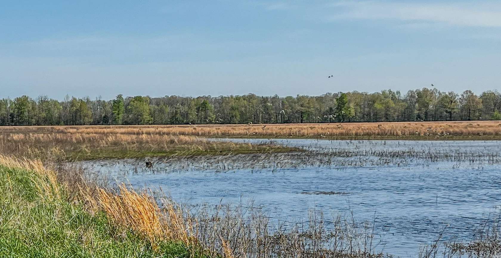 1,962 Acres of Recreational & Residential Land for Sale in Cord, Arkansas