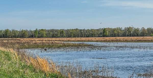 1,962 Acres of Recreational & Residential Land for Sale in Cord, Arkansas