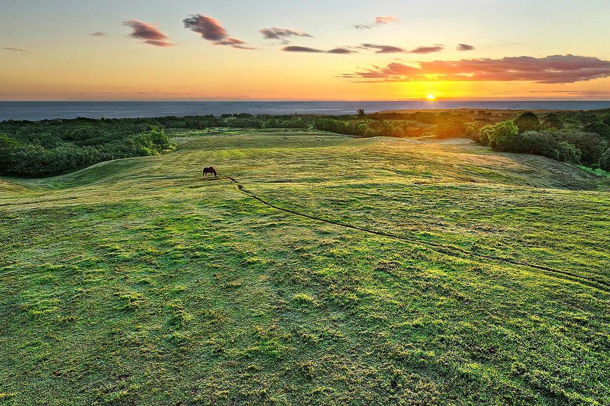 32 Acres of Recreational Land for Sale in Kilauea, Hawaii