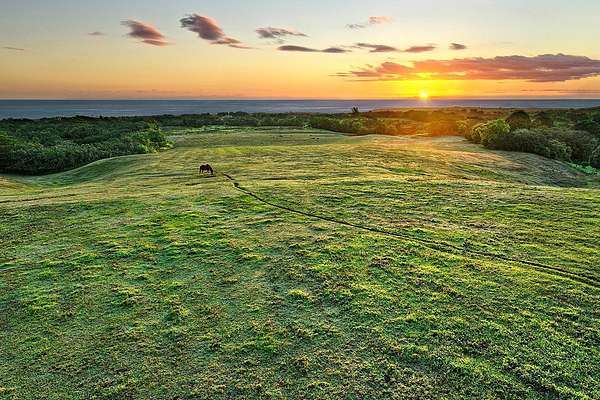 32 Acres of Recreational Land for Sale in Kilauea, Hawaii
