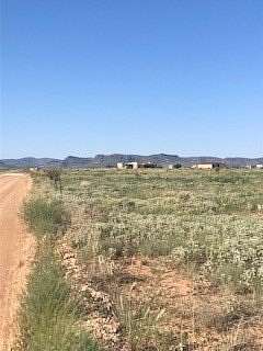 13.3 Acres of Land for Sale in Alpine, Texas
