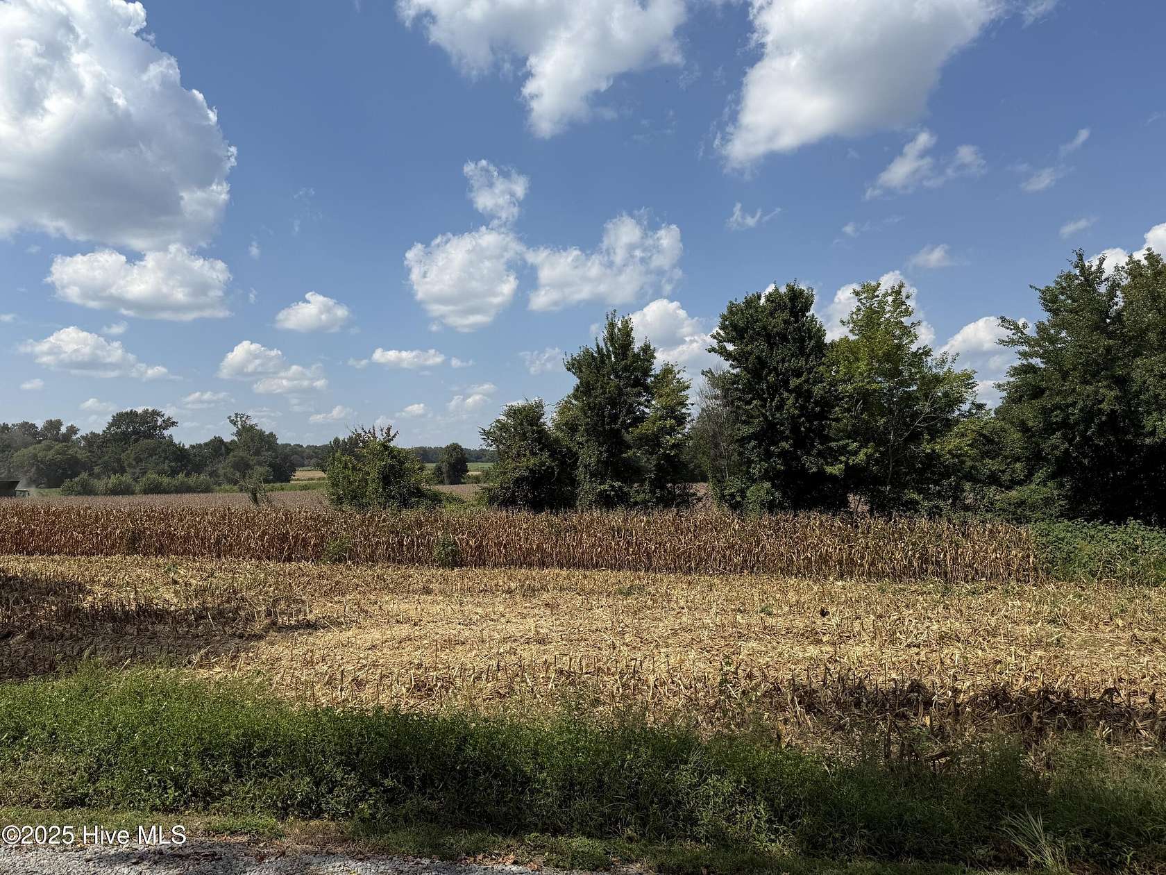 5.4 Acres of Land for Sale in Pikeville, North Carolina