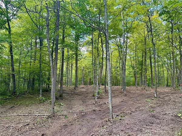 19.6 Acres of Recreational Land for Sale in Remer Township, Minnesota
