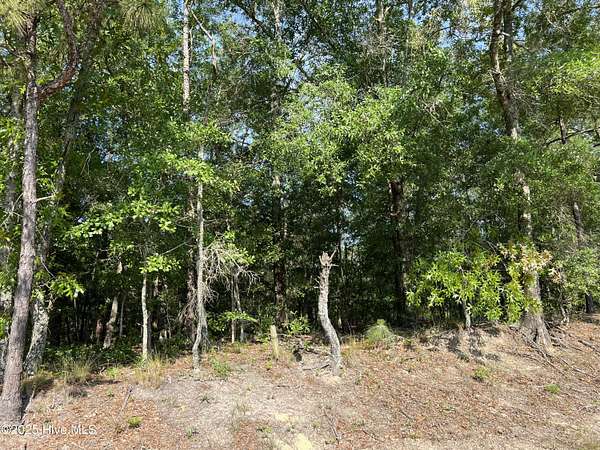 1 Acre of Residential Land for Sale in Rocky Point, North Carolina