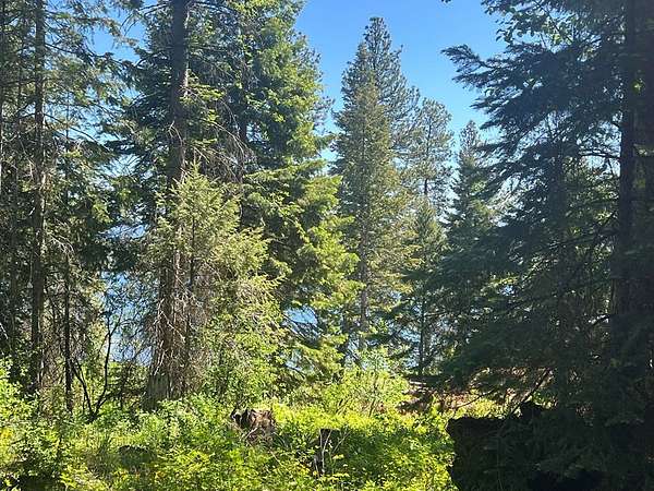 0.53 Acres of Land for Sale in Cascade, Idaho