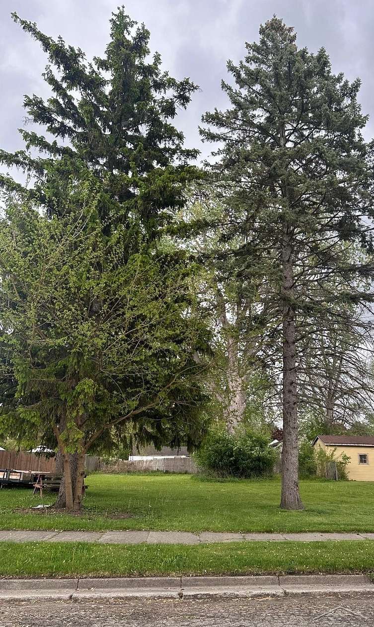 0.22 Acres of Residential Land for Sale in Saginaw, Michigan
