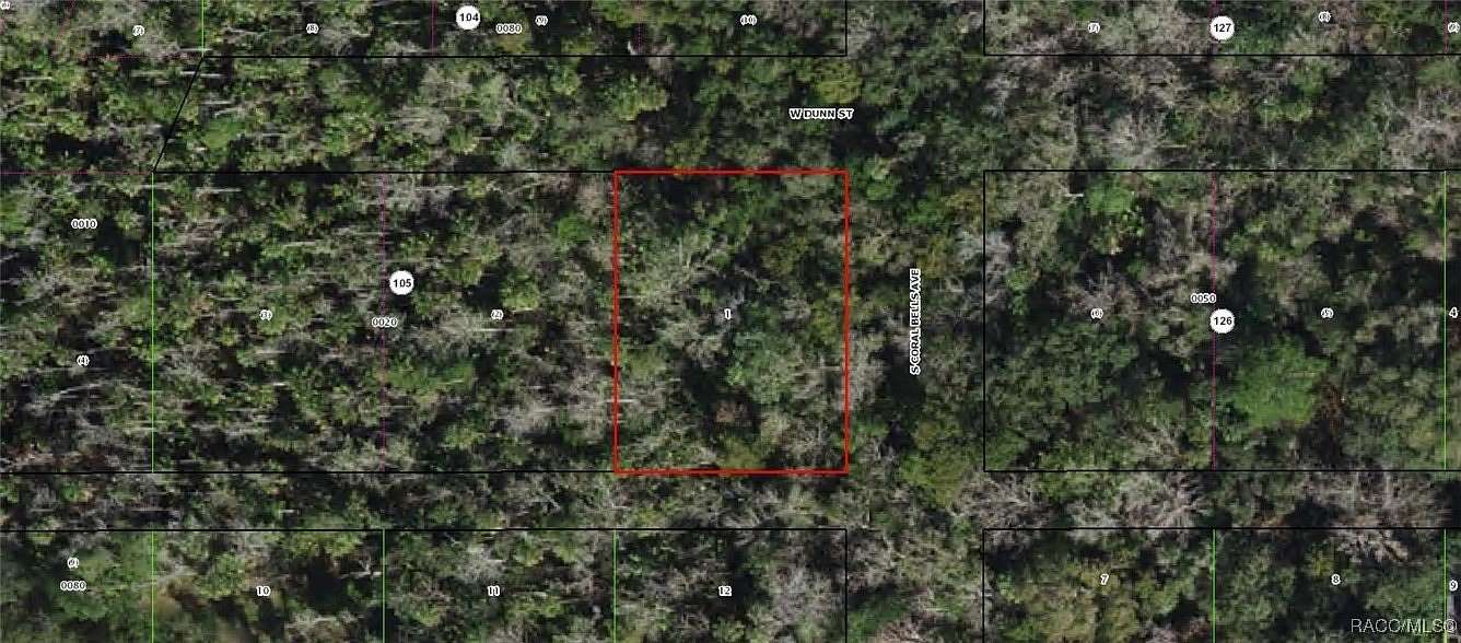 0.3 Acres of Residential Land for Sale in Homosassa, Florida