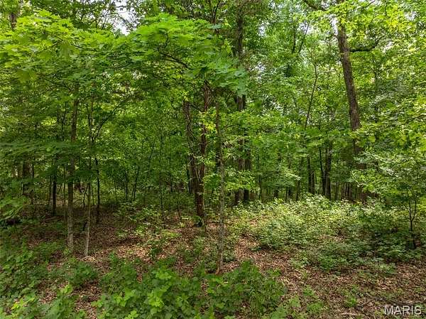 2.29 Acres of Residential Land for Sale in Innsbrook, Missouri