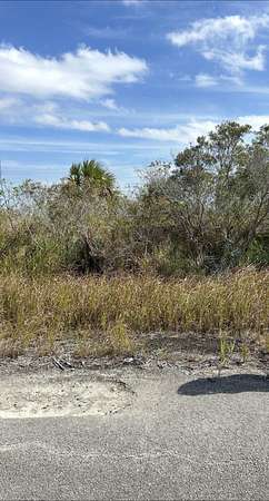 0.23 Acres of Residential Land for Sale in Palm Bay, Florida