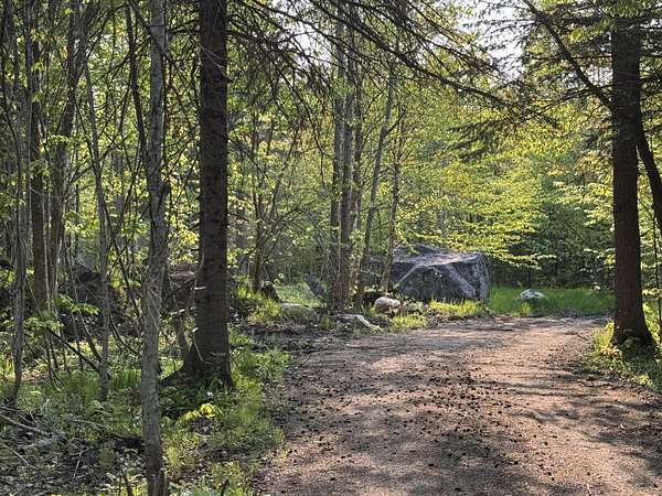 9.4 Acres of Land for Sale in Grand Marais, Michigan