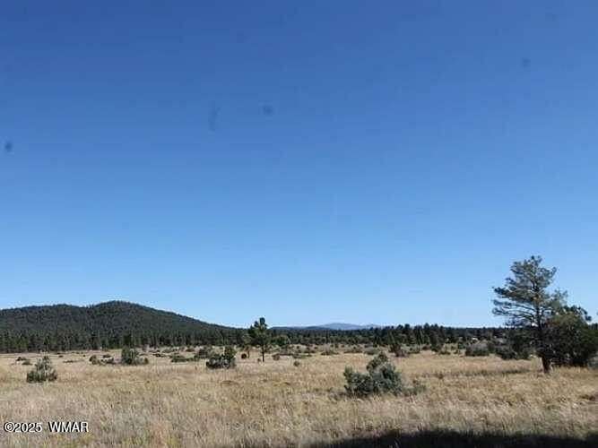 10 Acres of Land for Sale in Lakeside, Arizona
