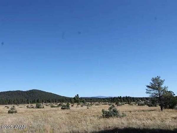 10 Acres of Land for Sale in Lakeside, Arizona