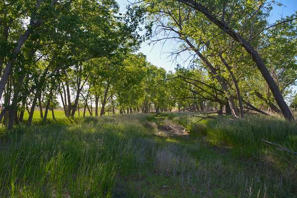 158 Acres of Recreational Land & Farm for Sale in Palco, Kansas