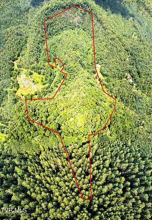 45.7 Acres of Land for Sale in Del Rio, Tennessee