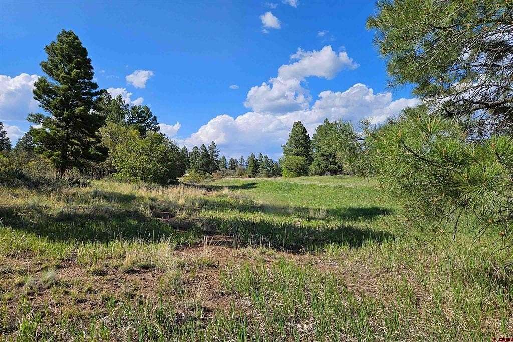 0.3 Acres of Residential Land for Sale in Pagosa Springs, Colorado