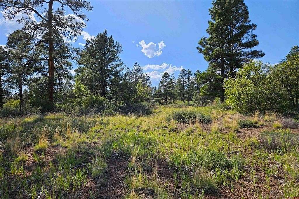 0.3 Acres of Land for Sale in Pagosa Springs, Colorado