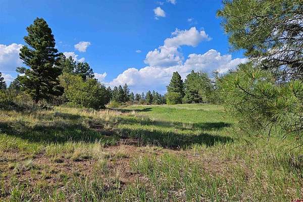 0.3 Acres of Residential Land for Sale in Pagosa Springs, Colorado