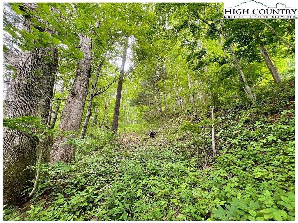 9.64 Acres of Land for Sale in Creston, North Carolina