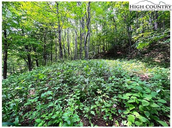 9.64 Acres of Land for Sale in Creston, North Carolina