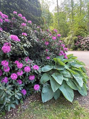 1 Acre of Land for Sale in Sylva, North Carolina