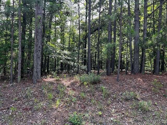 43.7 Acres of Land for Sale in Wetumpka, Alabama