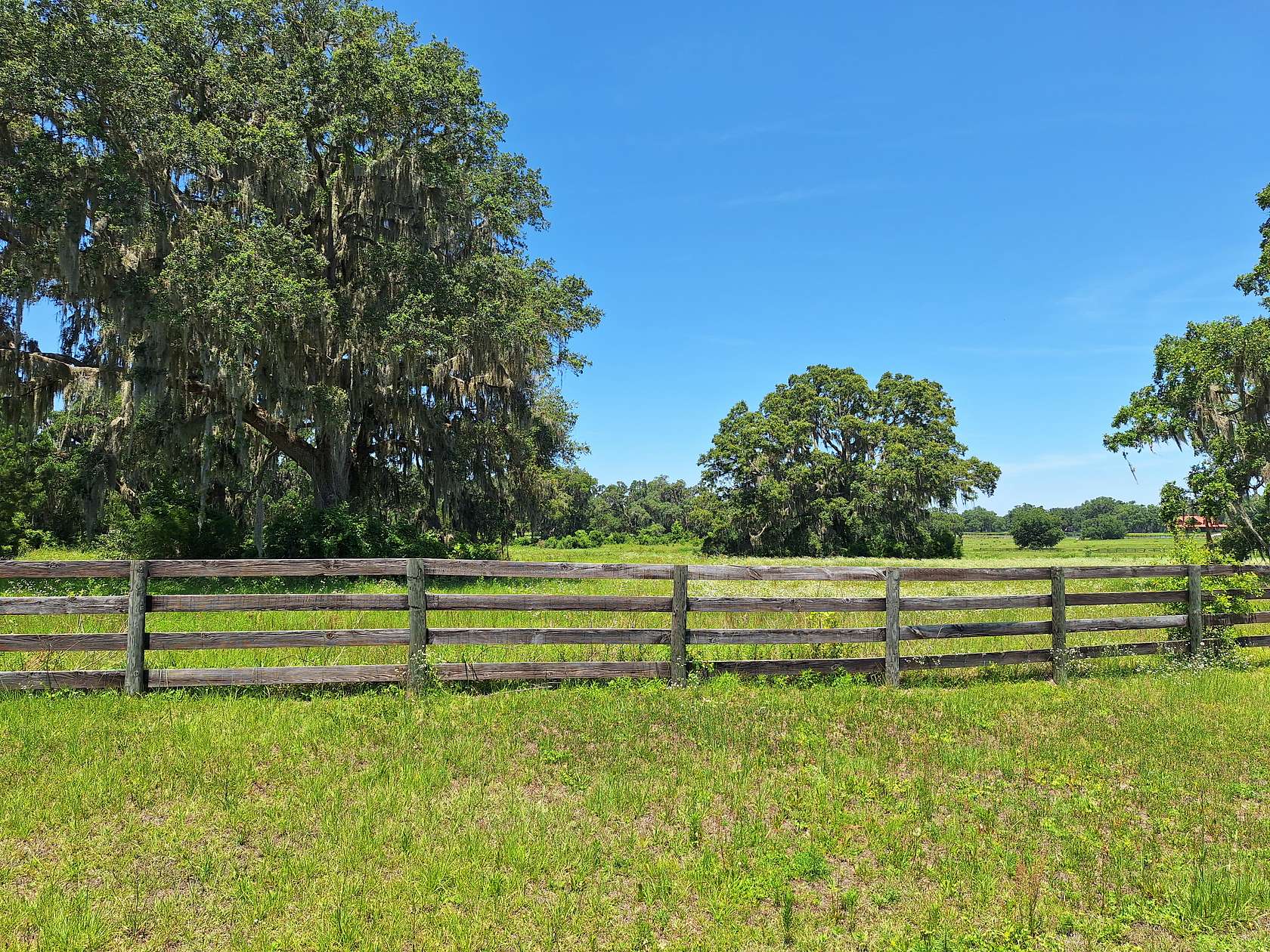 20.5 Acres of Agricultural Land for Sale in Morriston, Florida