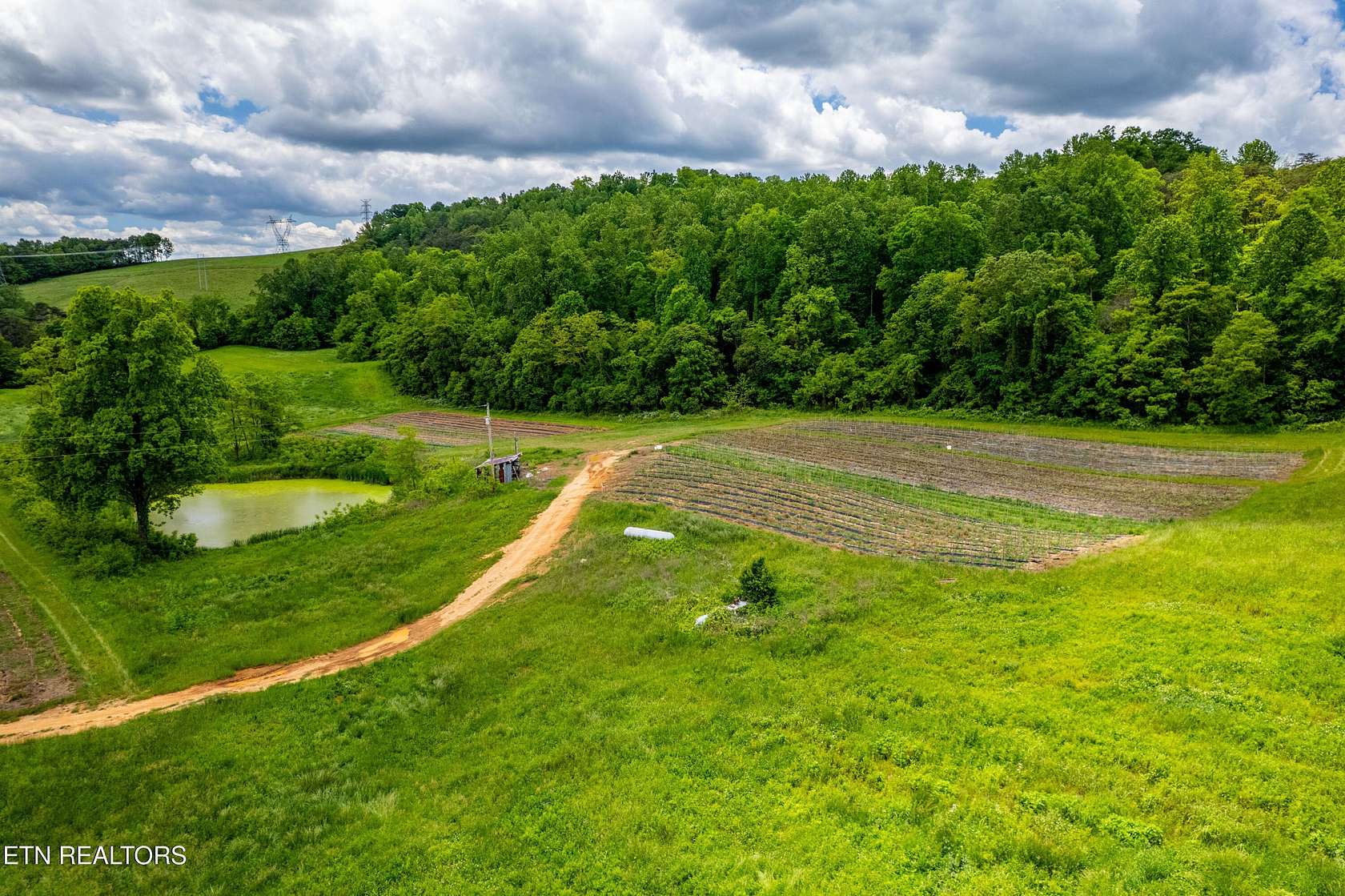 17 Acres of Agricultural Land for Sale in Rutledge, Tennessee